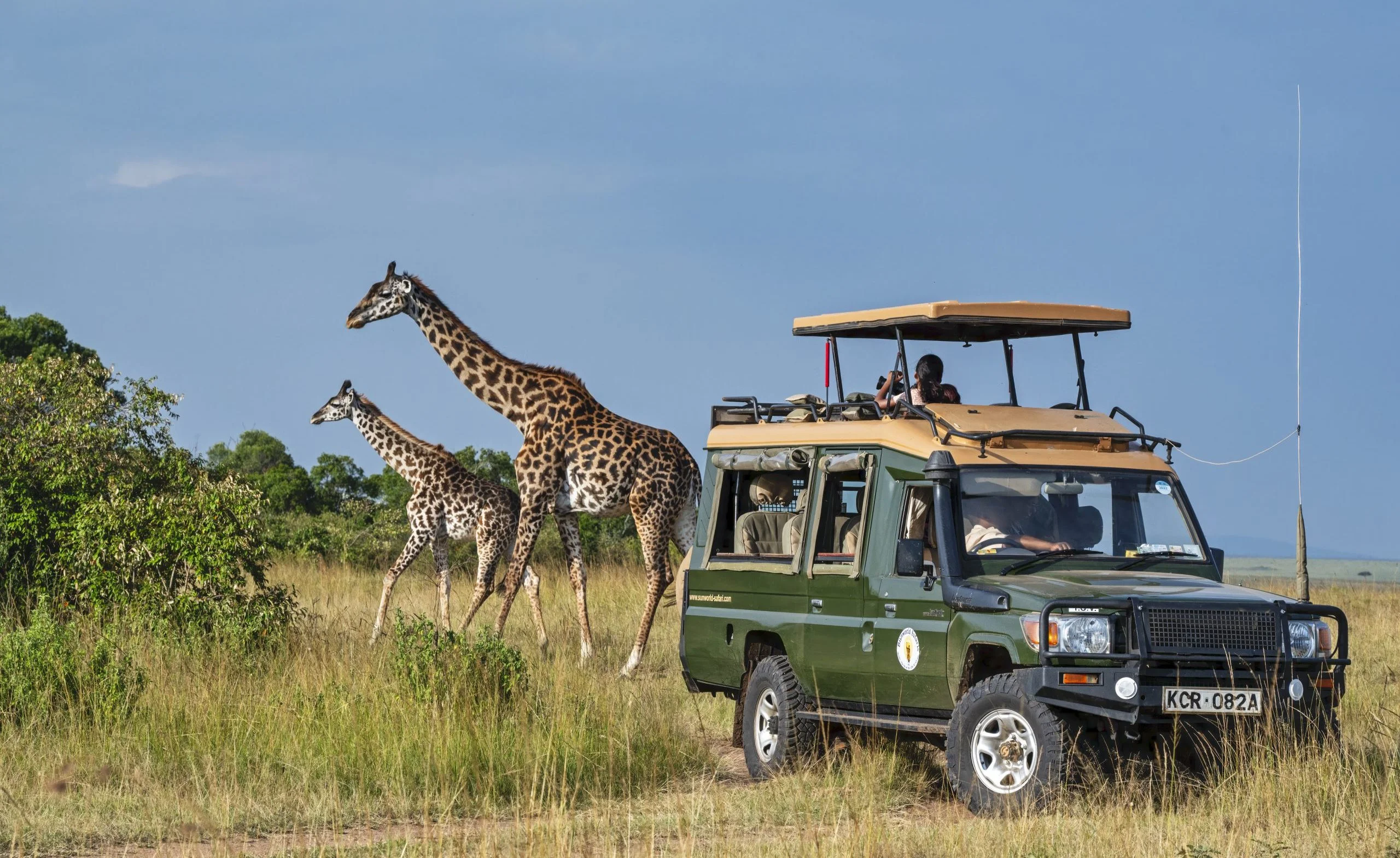 The surfing man will adventure your mind